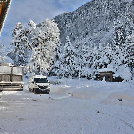 Appartement 6 Pers 70 M² Dans Chalet Chez Marie Montriond Dış mekan fotoğraf